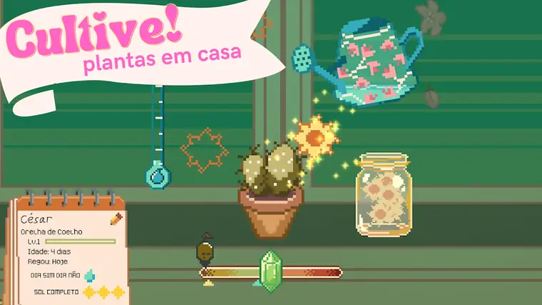 Window Garden: peitoril com vasos e plantas a crescer